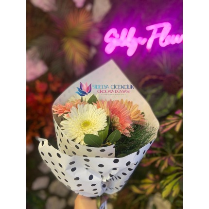 5'li Pembe Beyaz Gerbera ve Puantiye Deseni Sargılı Buket