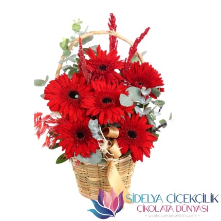 5'li Kırmızı  Gerbera  Tasarımı