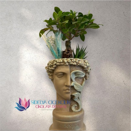Hermes Saksıda bonsai çiçeği tasarımı 
