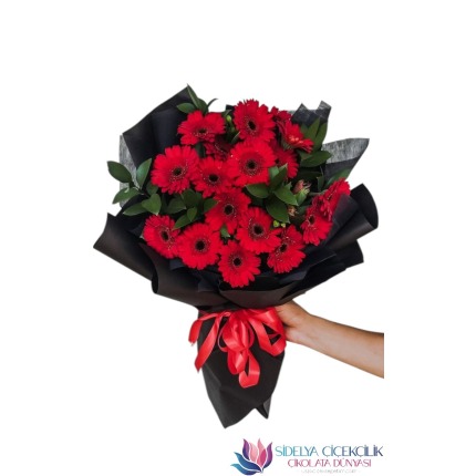 Kırmızı Gerbera  Buketi