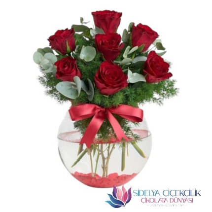 Vazoda 7 Tane Kırmızı Gül