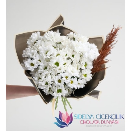 Beyaz Papatya Buketi