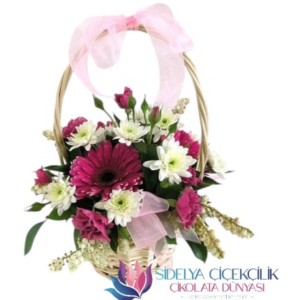 Sepette Beyaz Papatyalar - Mor Gerbera Arajmanı
