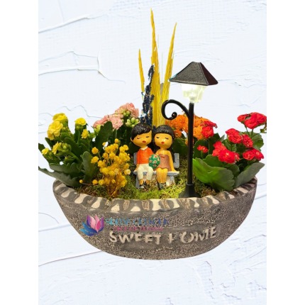 Tasarım Sweet Home Saksılı Kalanchoe  Çiçeği